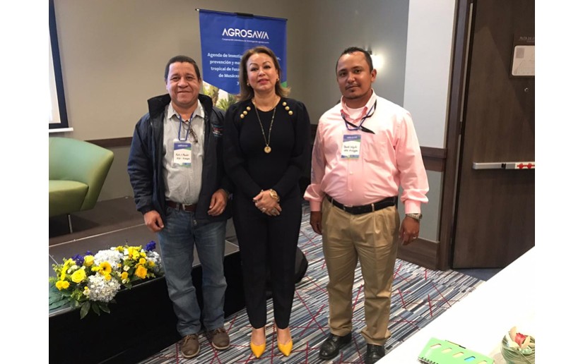 nicaragua-taller-platano-banano
